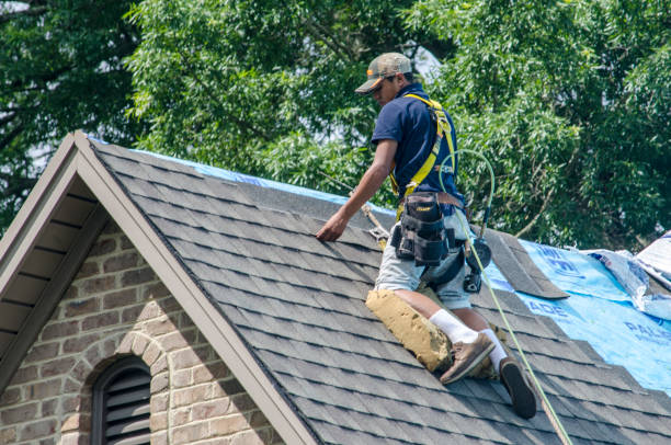 Best Roof Repair Services  in Harbor Beach, MI